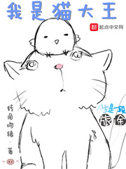 我是猫大王 小说