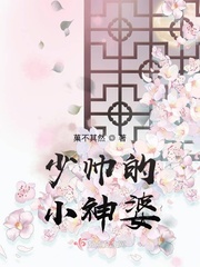 韩娱之我只是个打字机